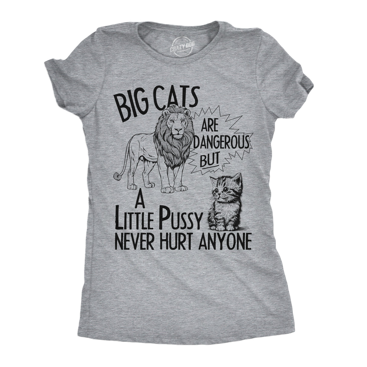 Womens Funny T Shirts Big Cats Are Dangerous But A Little Pussy Never Hurt Anyone Novelty Tee for Ladies