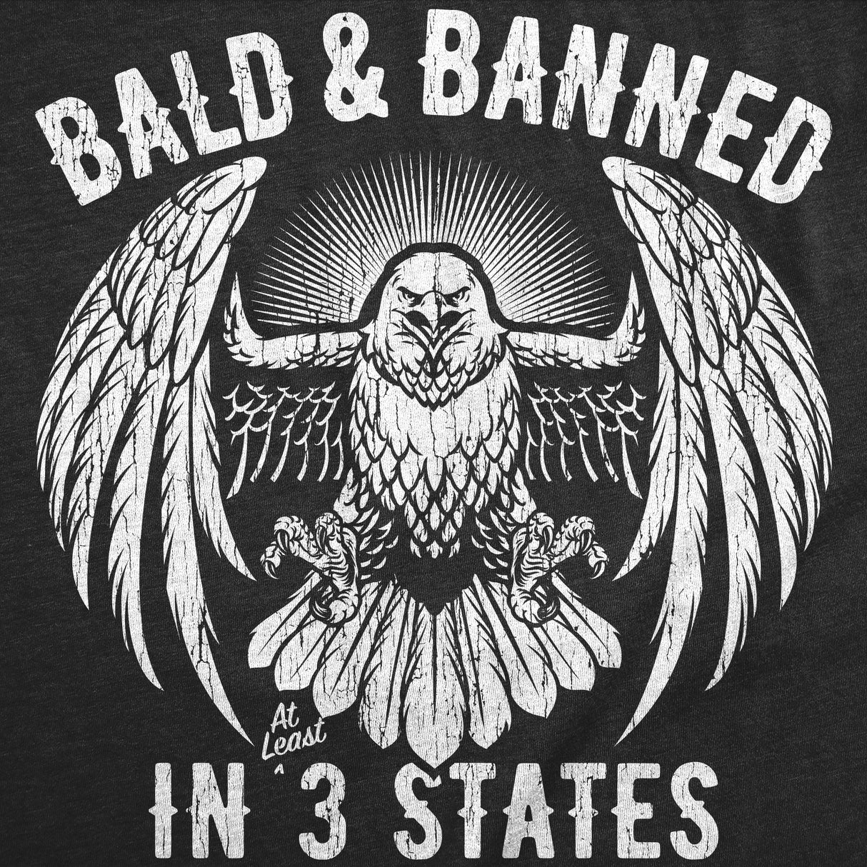 Mens Funny T Shirts Bald and Banned In 3 States Sarcastic Graphic Novelty Tee for Men