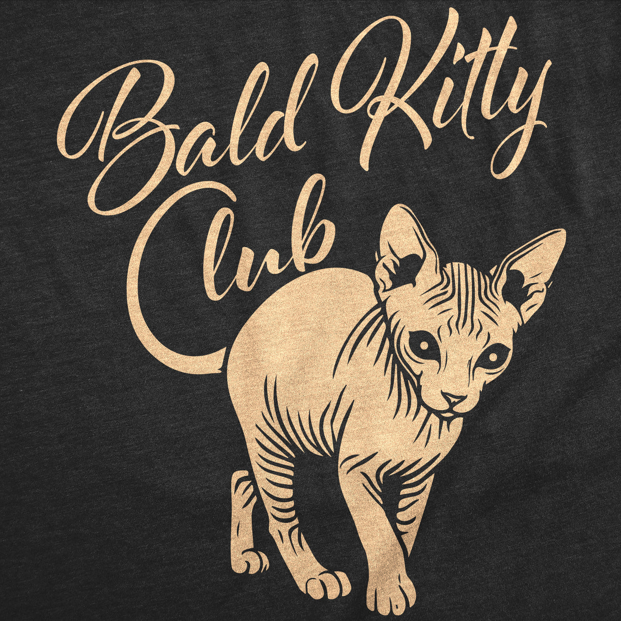 Womens Funny T Shirts Bald Kitty Club Sarcastic Hairless Cat Graphic Novelty Tee for Ladies