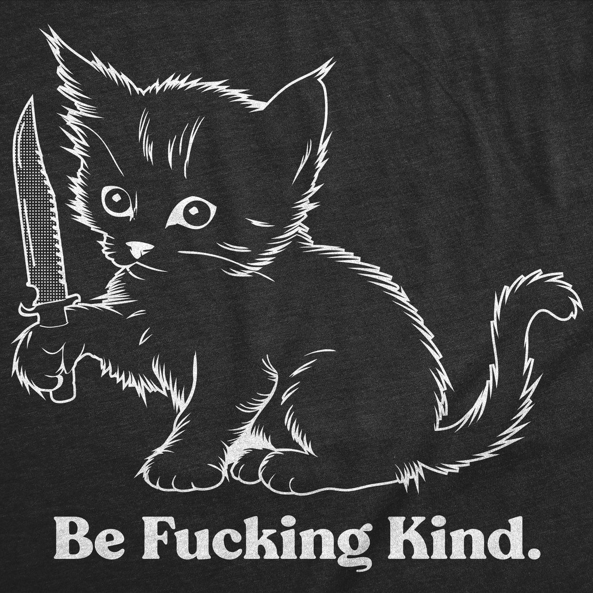 Womens Funny T Shirts Be Fucking Kind Sarcastic Kitten Graphic Novelty Tee for Ladies