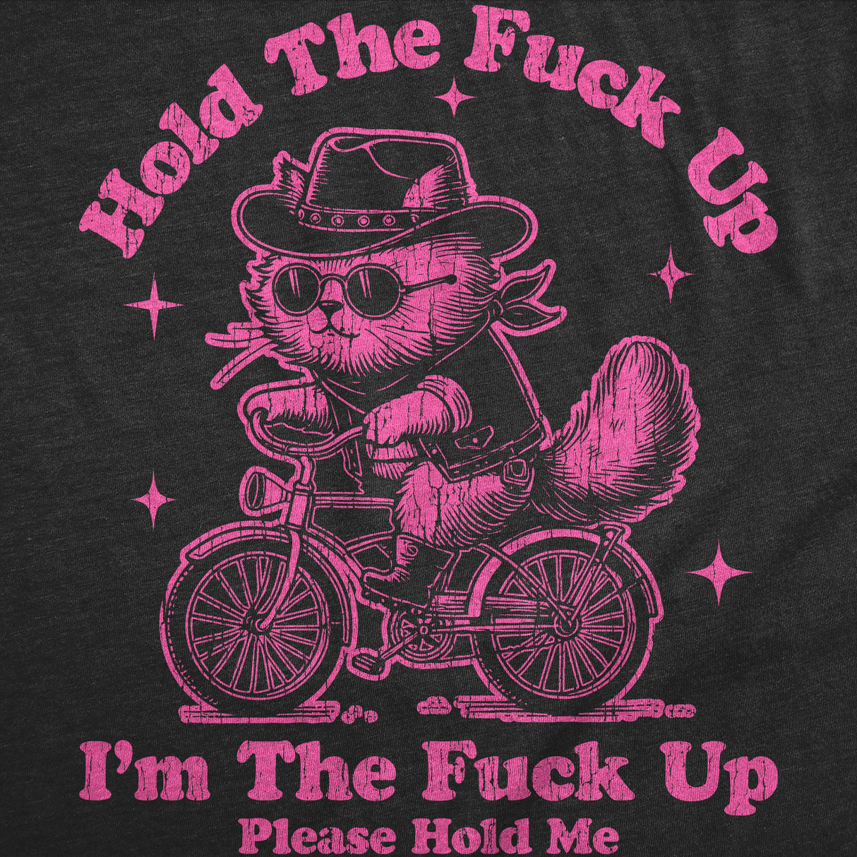 Womens Funny T Shirts Hold The Fuck Up Im The Fuck Up Please Hold Me Sarcastic Graphic Novelty Tee for Ladies