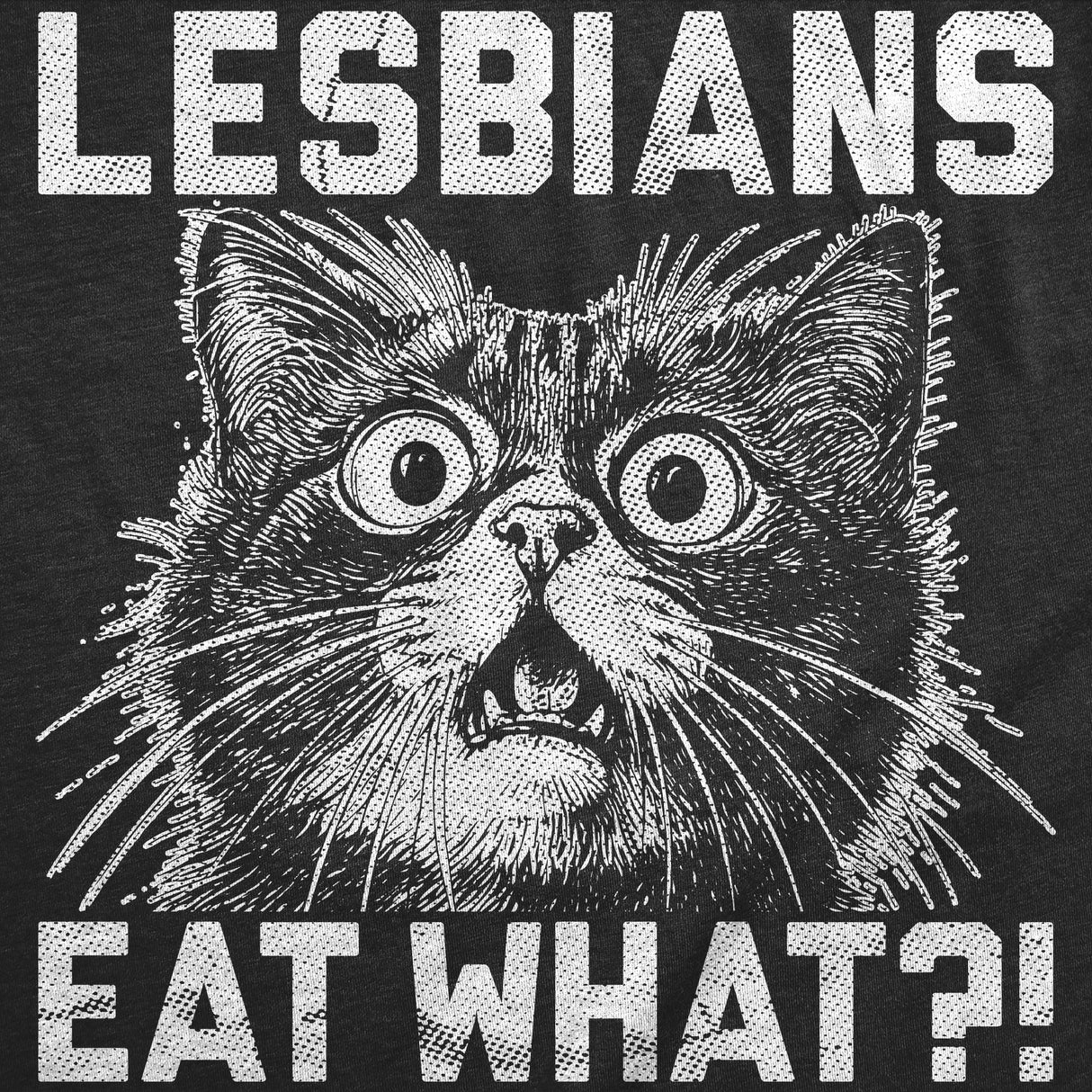 Womens Funny T Shirts Lesbians Eat What Sarcastic Cat Graphic Novelty Tee for Ladies