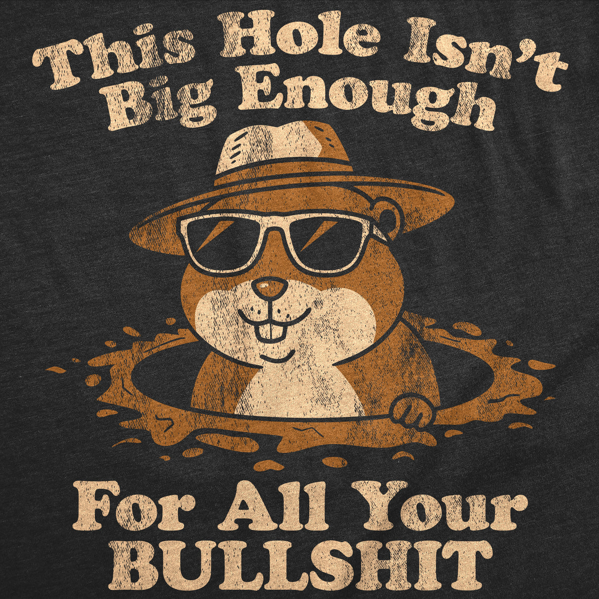 Mens Funny T Shirts This Hole Isnt Big Enough for All Your Bullshit Sarcastic Groundhog Graphic Novelty Tees for Men