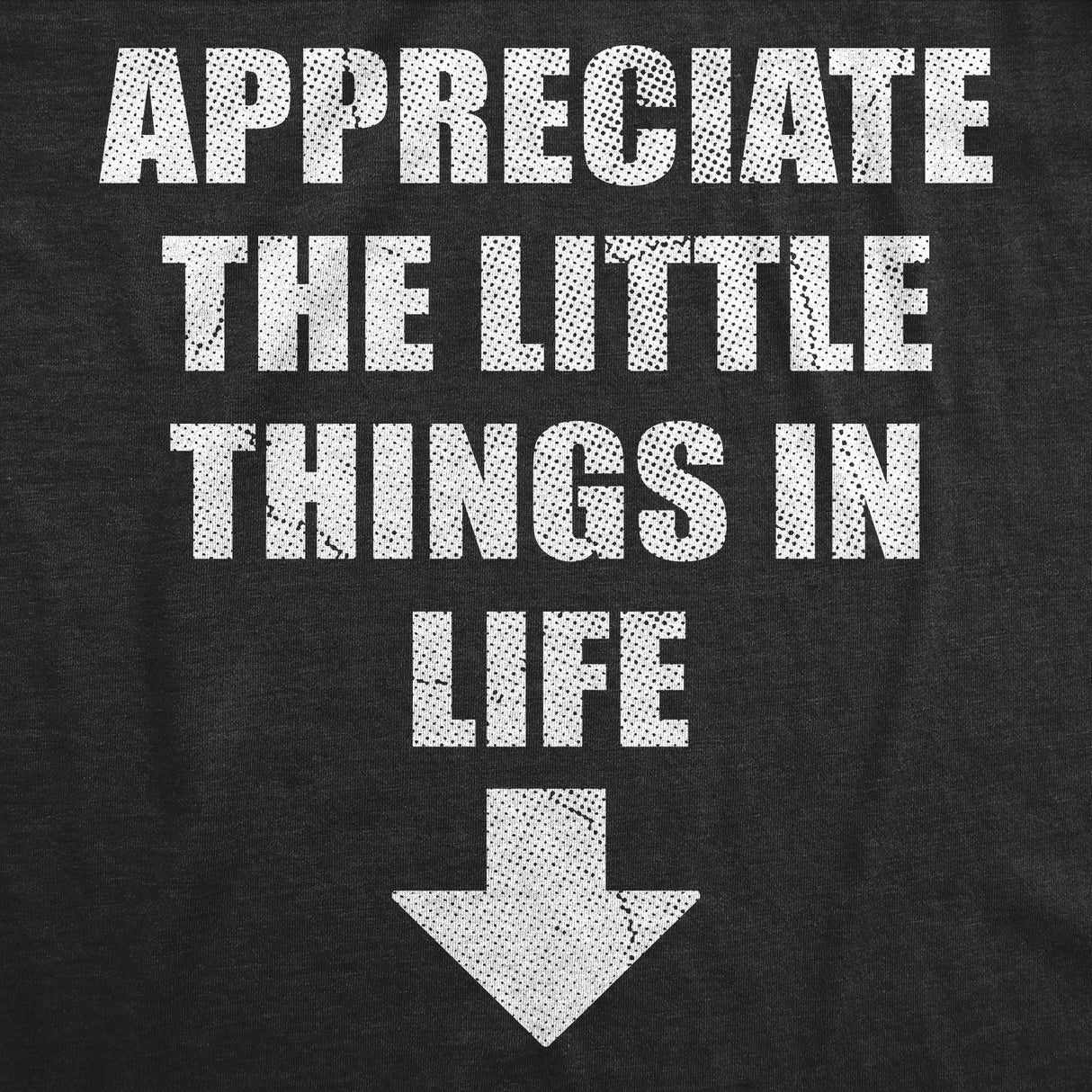 Mens Funny T Shirts Appreciate The Little Things In Life Sarcastic Dick Joke Novelty Tee for Men