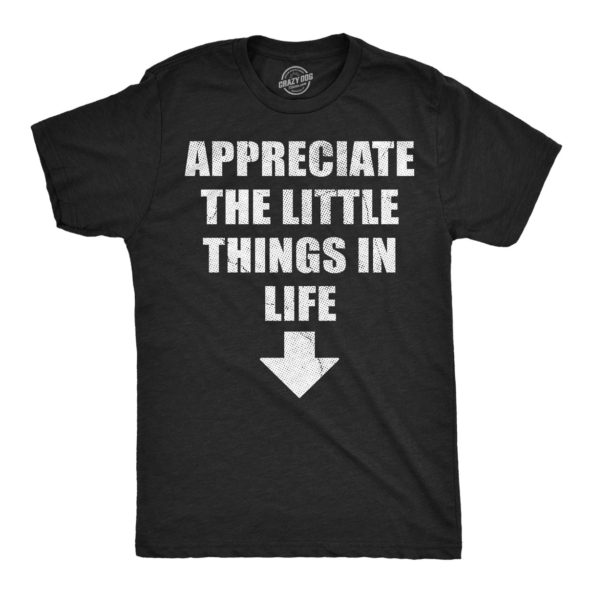 Mens Funny T Shirts Appreciate The Little Things In Life Sarcastic Dick Joke Novelty Tee for Men