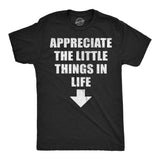 Mens Funny T Shirts Appreciate The Little Things In Life Sarcastic Dick Joke Novelty Tee for Men