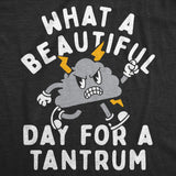 Toddler Funny T Shirts What A Beautiful Day for A Tantrum Sarcastic Graphic Novelty Tee for Young Kids