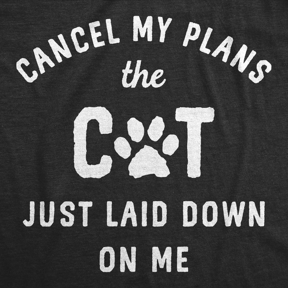 Mens Funny T Shirts Cancel My Plans The Cat Just Laid Down On Me Sarcastic Graphic Novelty Tee for Men