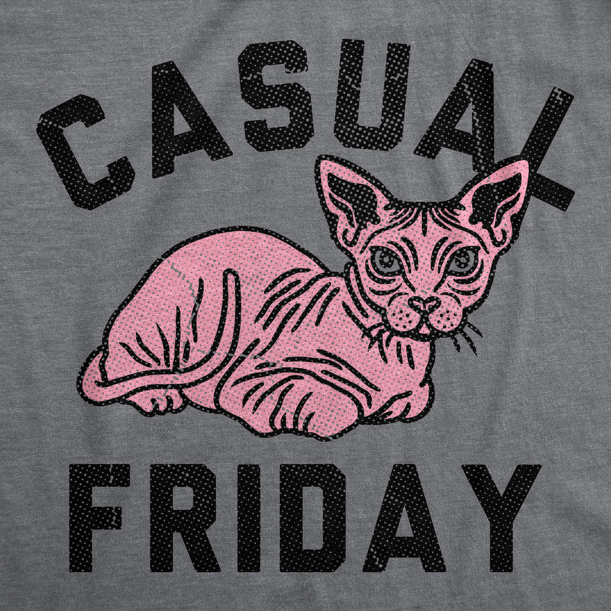 Mens Funny T Shirts Casual Friday Sarcastic Hairless Cat Graphic Novelty Tee for Men