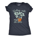 Womens Funny T Shirts Feeling Cute Might Die Later Sarcastic Graphic Novelty Tee for Ladies