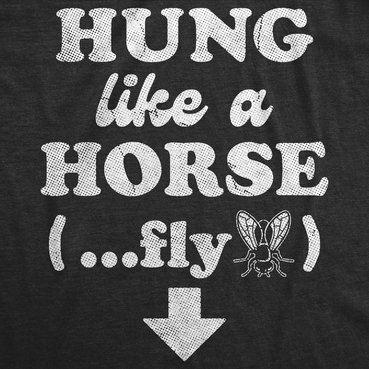 Mens Funny T Shirts Hung Like A Horse Fly Sarcastic Graphic Novelty Tee for Men