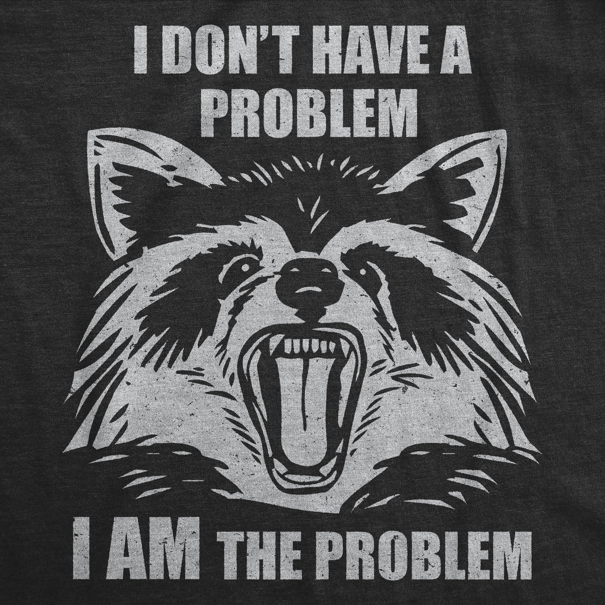 Mens Funny T Shirts I Dont Have A Problem I Am The Problem Sarcastic Raccoon Graphic Novelty Tee for Men