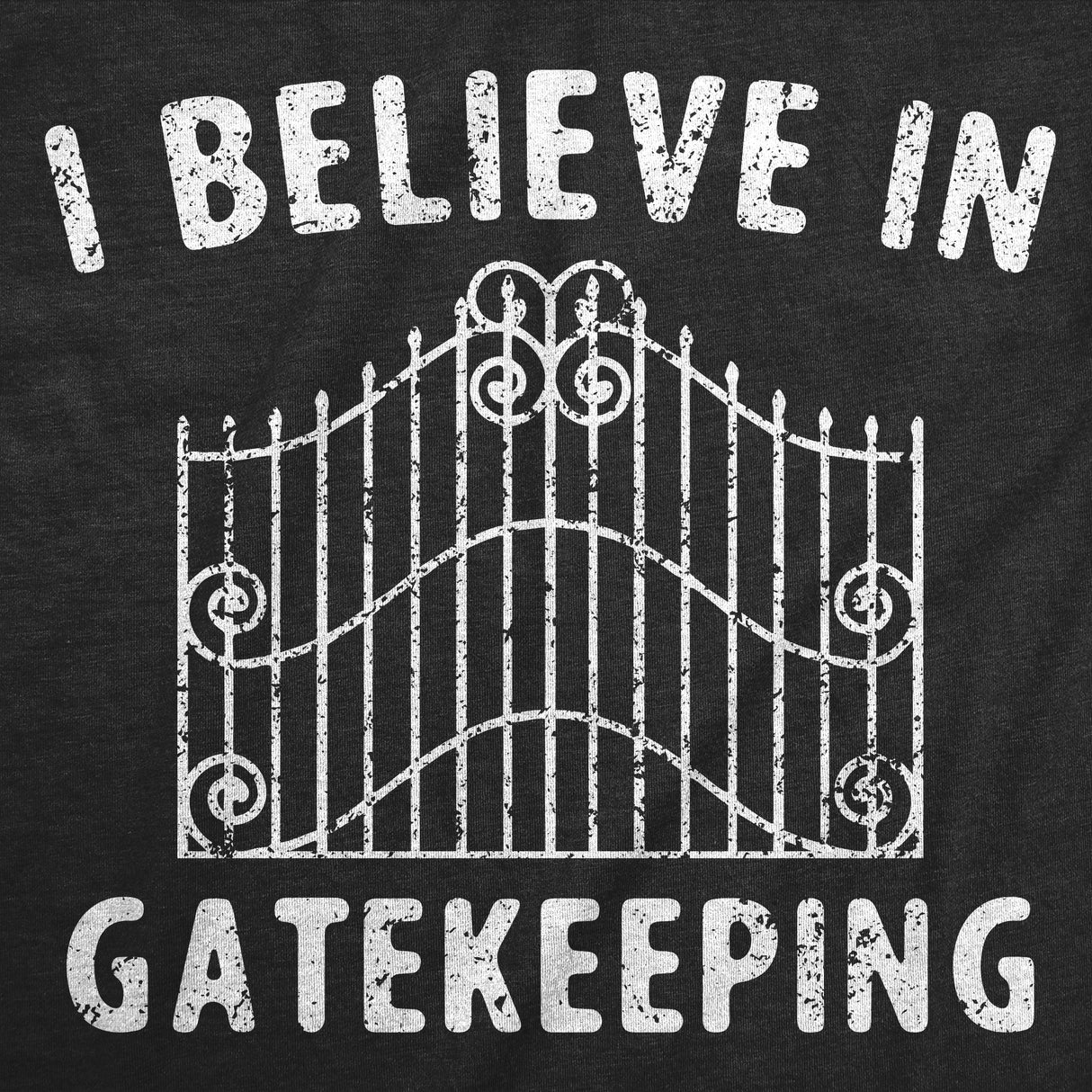 Mens Funny T Shirts I Believe In Gatekeeping Sarcastic Graphic Novelty Tee for Men