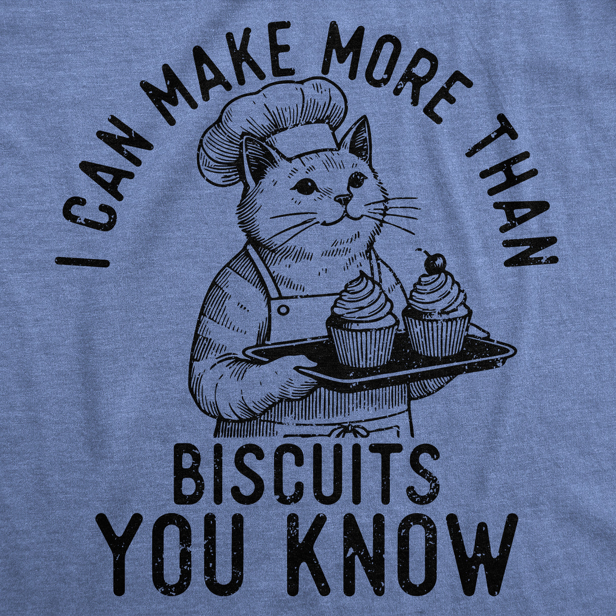 Womens Funny T Shirts I Can Make More Than Biscuits You Know Sarcastic Kitten Graphic Novelty Tee for Ladies