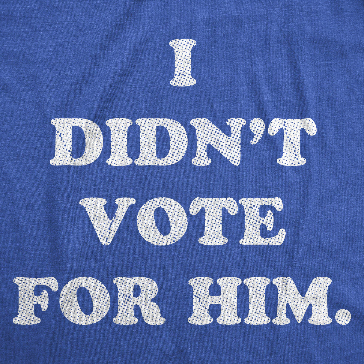 Womens Funny T Shirts I Didnt Vote for Him Sarcastic President Graphic Novelty Tee for Ladies
