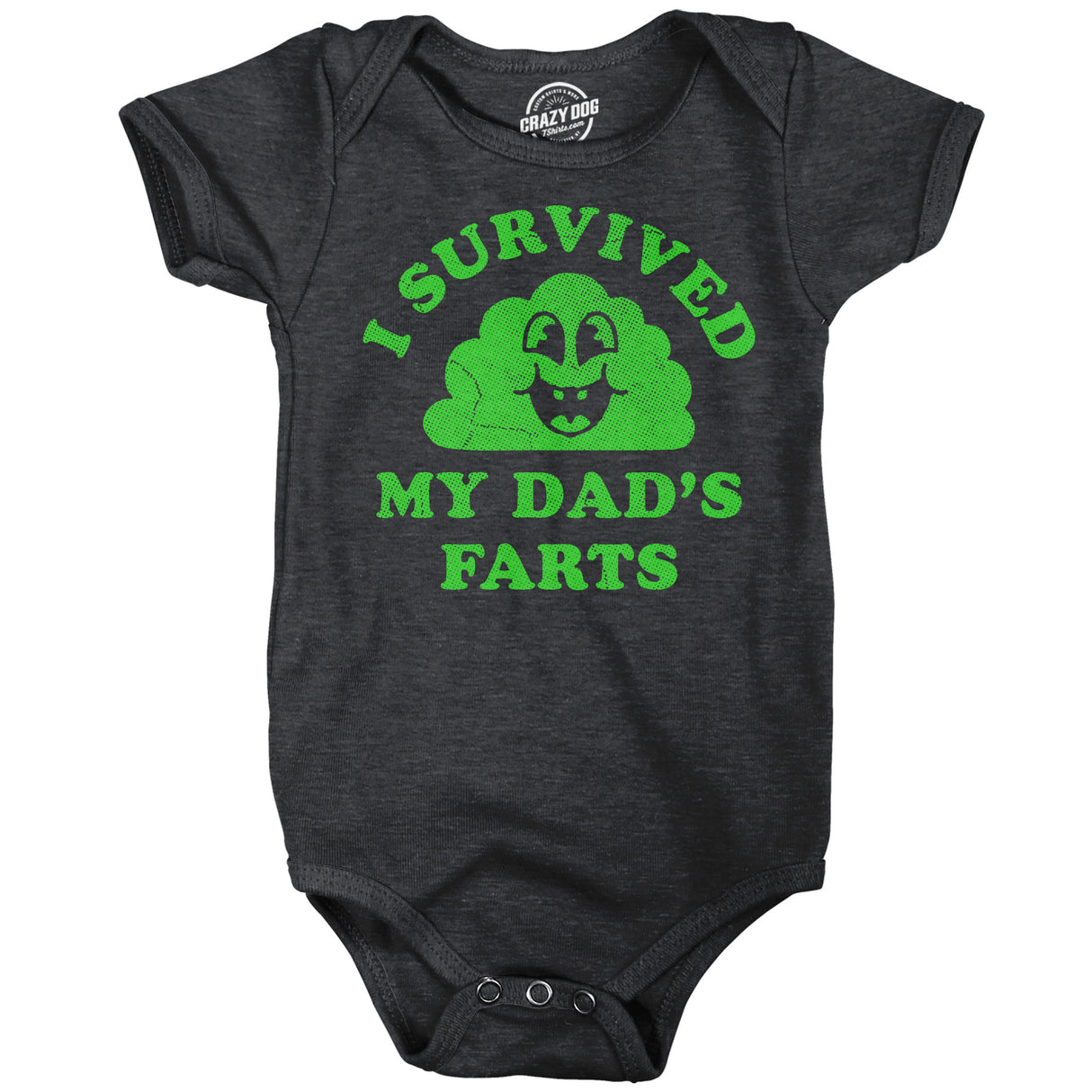 I Survived My Dads Farts Baby Bodysuit Funny Sarcastic Graphic Novelty Jumper for Infants