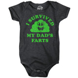 I Survived My Dads Farts Baby Bodysuit Funny Sarcastic Graphic Novelty Jumper for Infants
