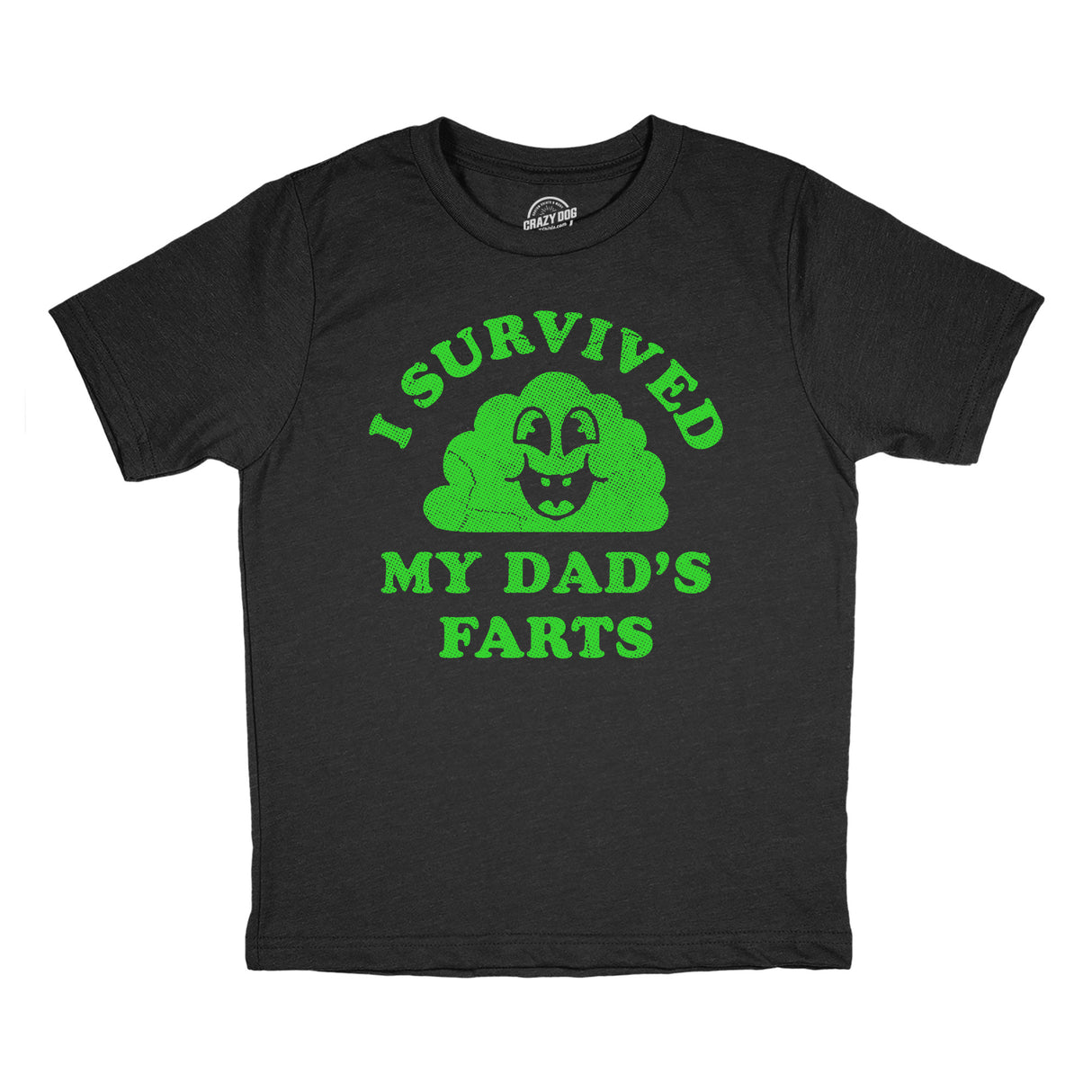 Youth Funny T Shirts I Survived My Dads Farts Sarcastic Novelty Tee for Kids