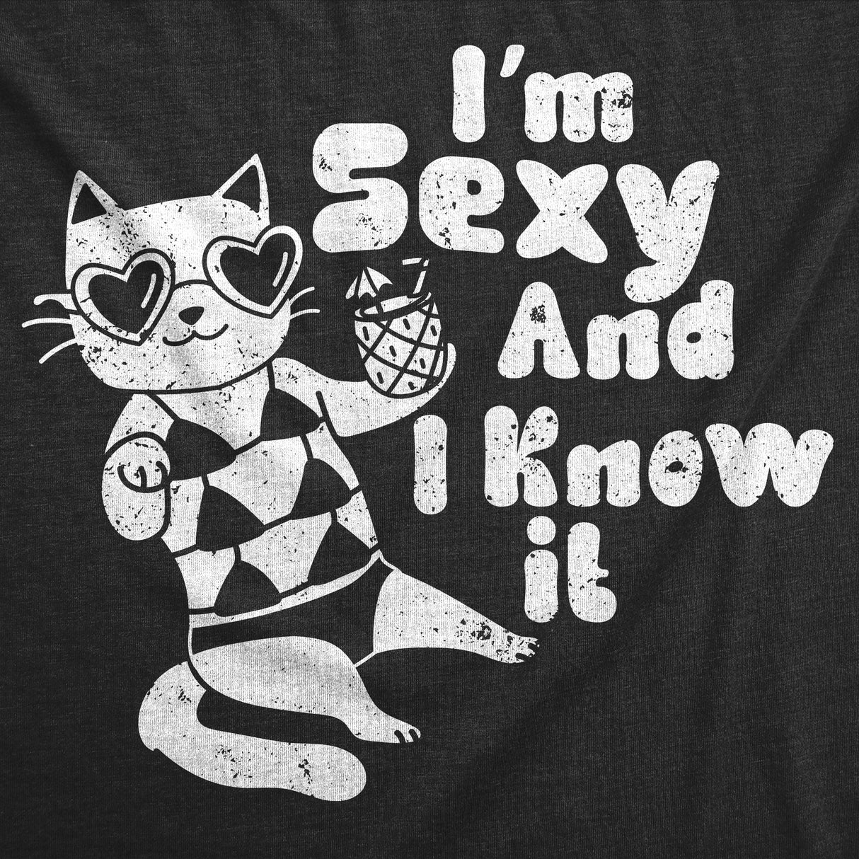 Womens Funny T Shirts Im Sexy and I Know It Sarcastic Kitten Graphic Novelty Tee for Ladies