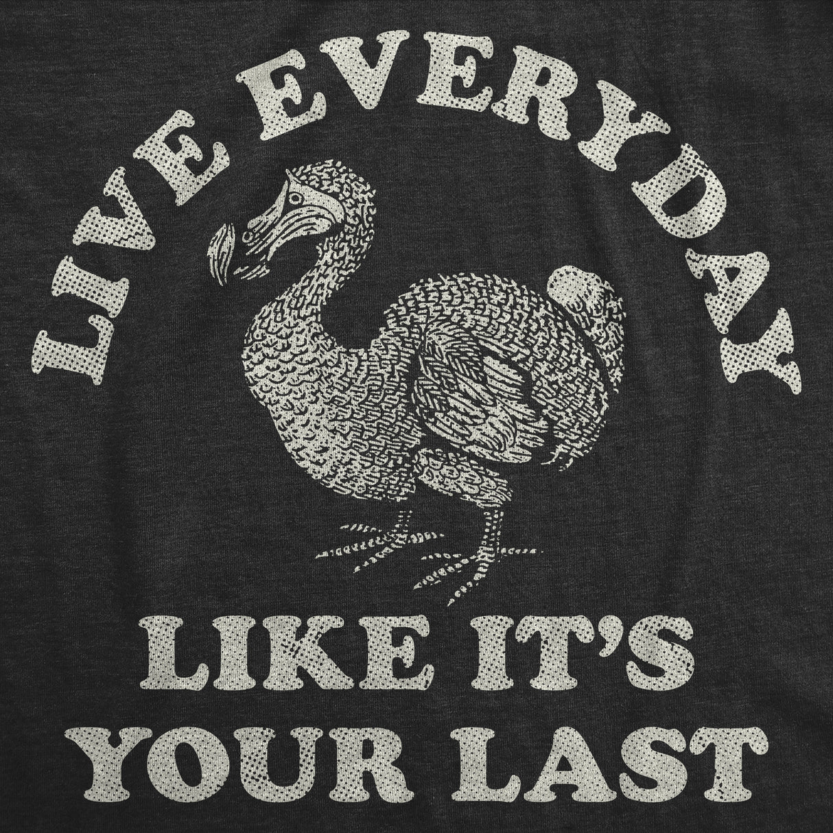 Mens Funny T Shirts Live Everyday Like Its Your Last Sarcastic Dodo Bird Graphic Novelty Tee for Men