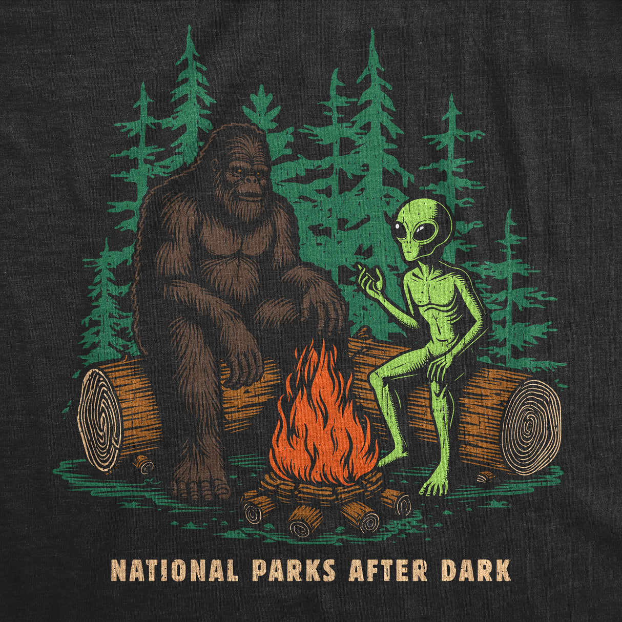 Mens Funny T Shirts National Parks After Dark Sarcastic Bigfoot Alien Graphic Novelty Tee for Men