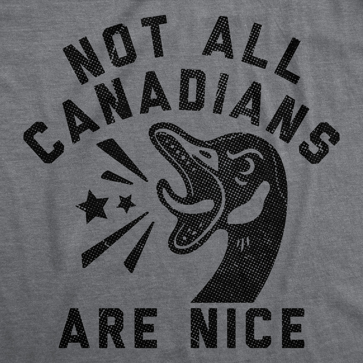 Mens Funny T Shirts Not All Canadians Are Nice Sarcastic Goose Graphic Novelty Tee for Men