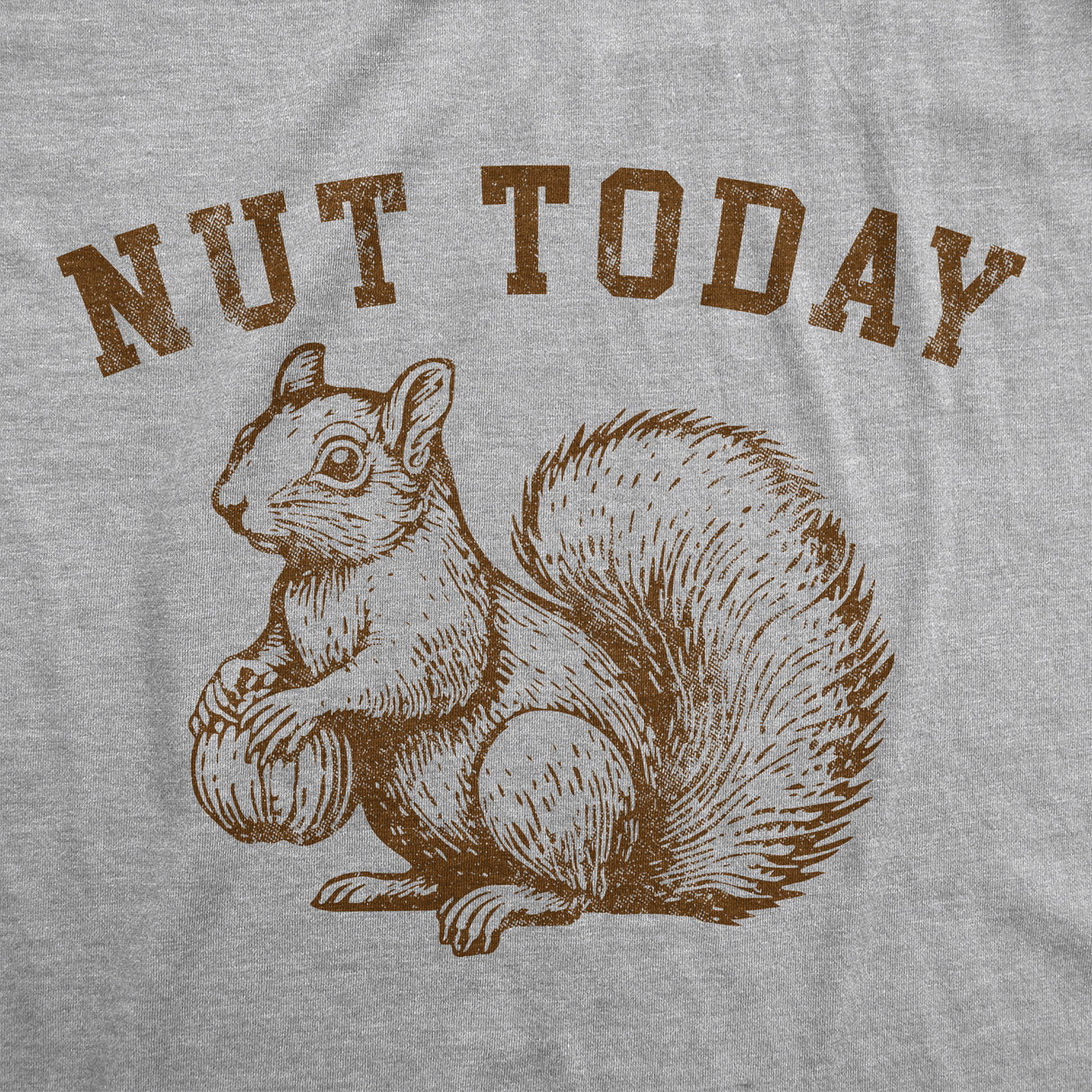 Mens Funny T Shirts Nut Today Sarcastic Squirrel Graphic Novelty Tee for Men