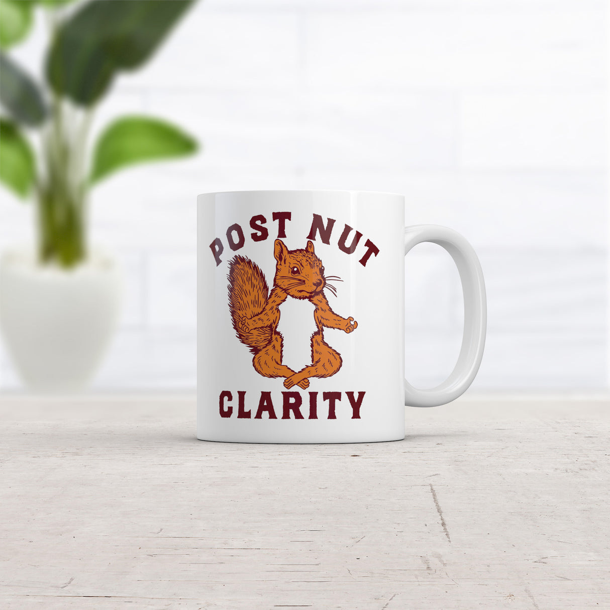 Post Nut Clarity Mug Funny Sarcastic Squirrel Graphic Novelty Coffee Cup-11oz