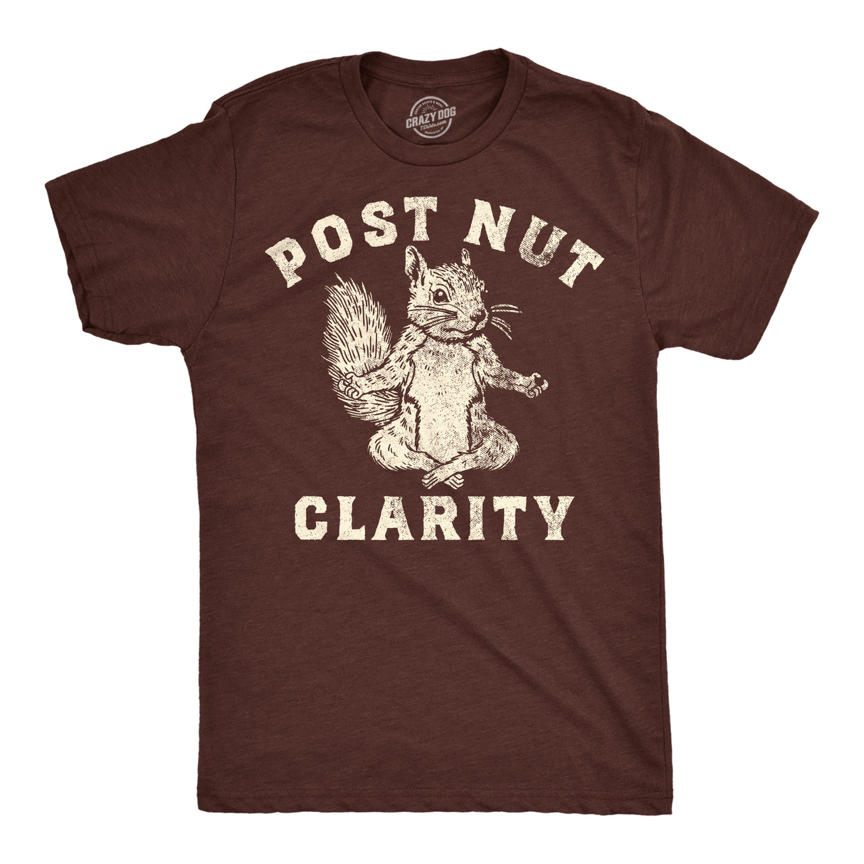 Mens Funny T Shirts Post Nut Clarity Sarcastic Squirrel Graphic Novelty Tee for Men