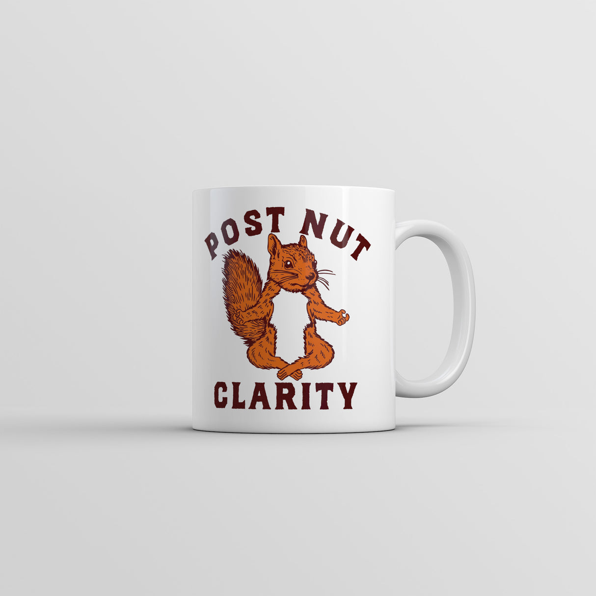 Post Nut Clarity Mug Funny Sarcastic Squirrel Graphic Novelty Coffee Cup-11oz