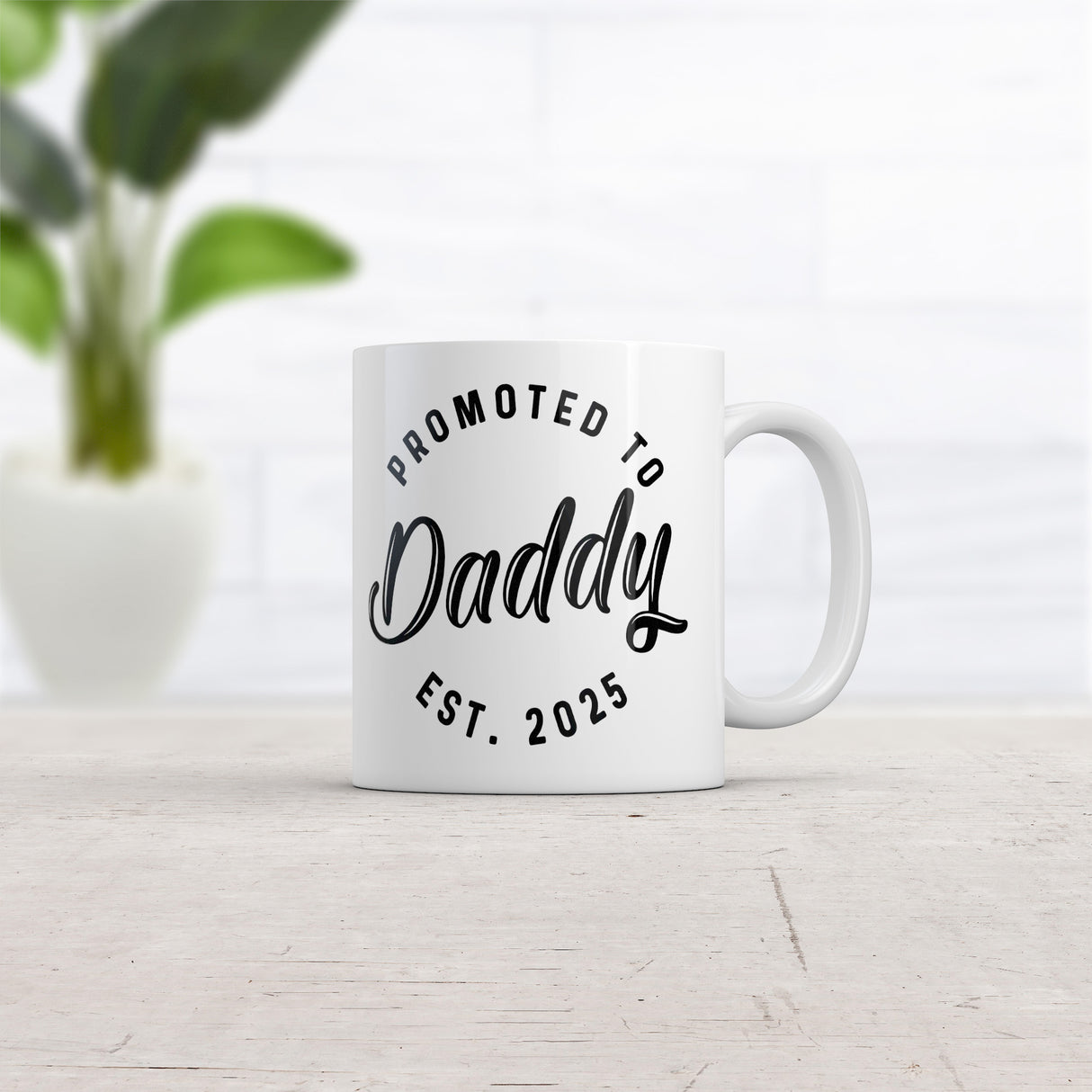 Promoted to Daddy 2025 Mug Funny Sarcastic Family New Baby Graphic Novelty Coffee Cup-11oz