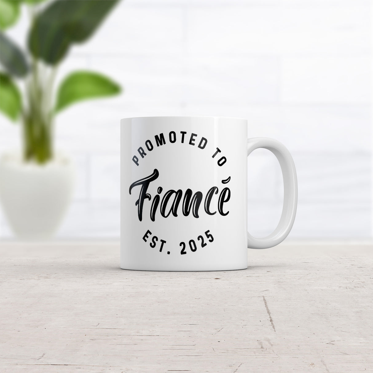 Promoted to Fiance 2025 Mug Funny Sarcastic Marriage Graphic Novelty Coffee Cup-11oz