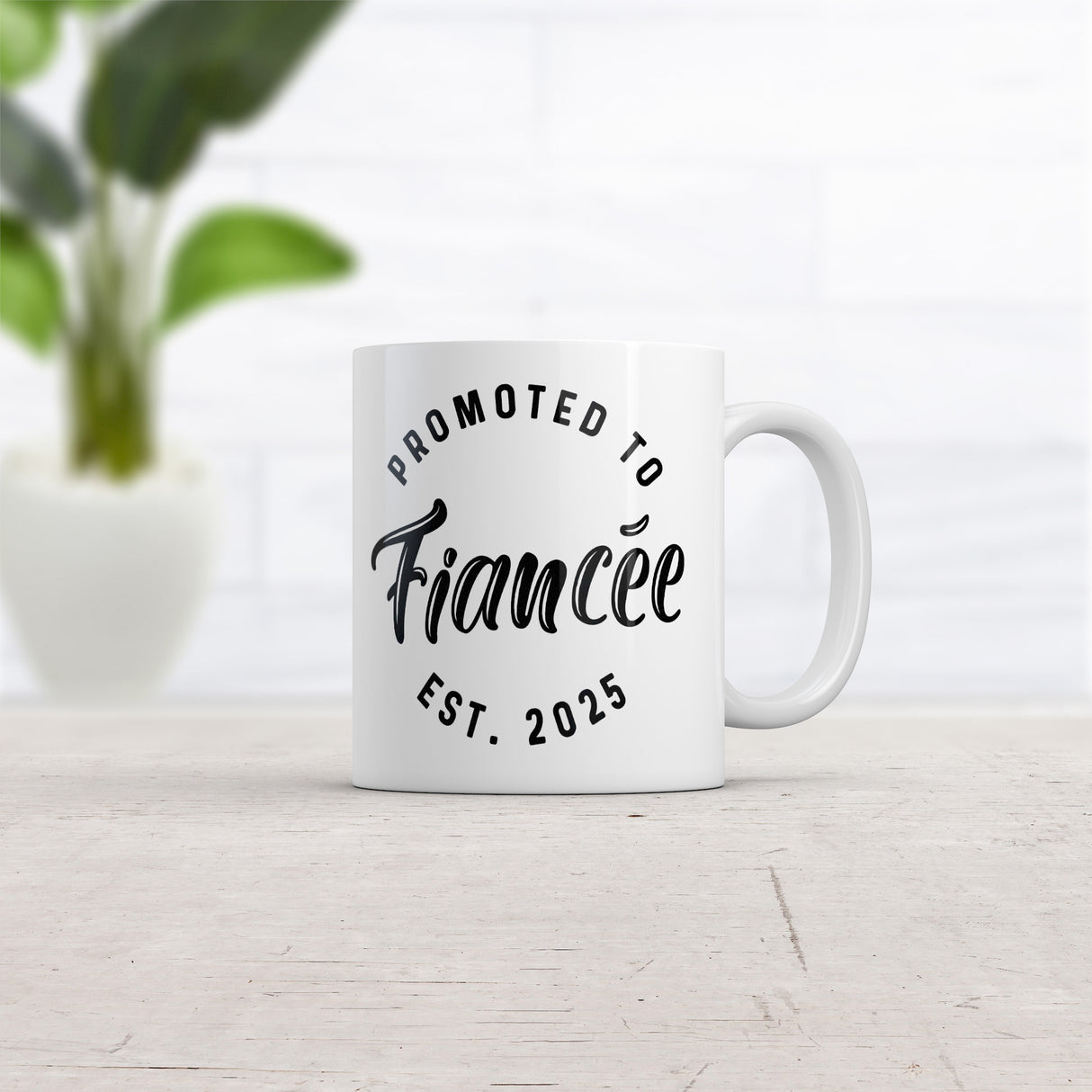 Promoted to Fiancee 2025 Mug Funny Sarcastic Marriage Graphic Novelty Coffee Cup-11oz