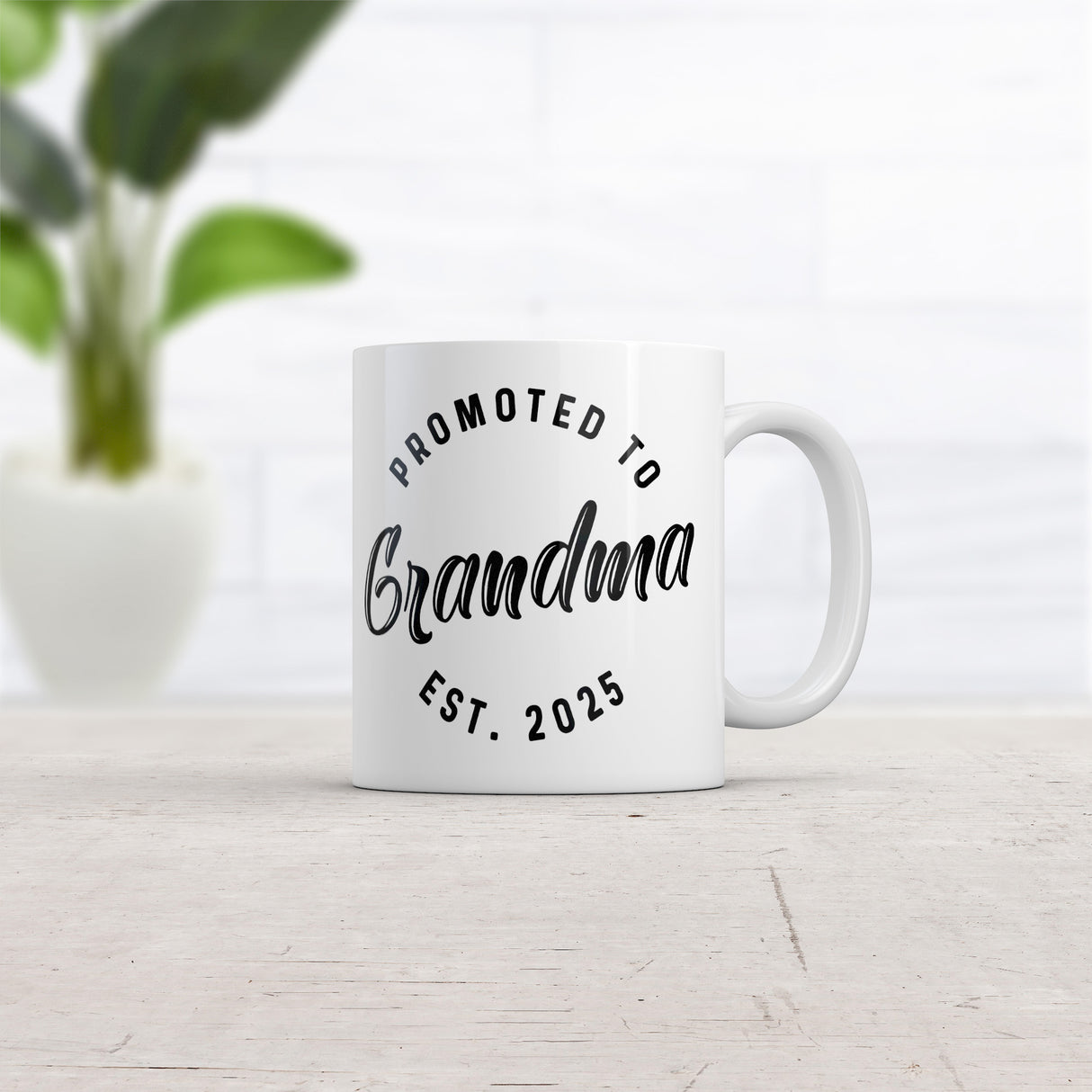 Promoted to Grandma 2025 Mug Funny Sarcastic Family New Baby Graphic Novelty Coffee Cup-11oz