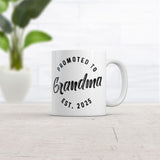 Promoted to Grandma 2025 Mug Funny Sarcastic Family New Baby Graphic Novelty Coffee Cup-11oz