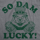 Mens Funny T Shirts Irizz Sarcastic St Patricks Day Graphic Novelty Tee for Men