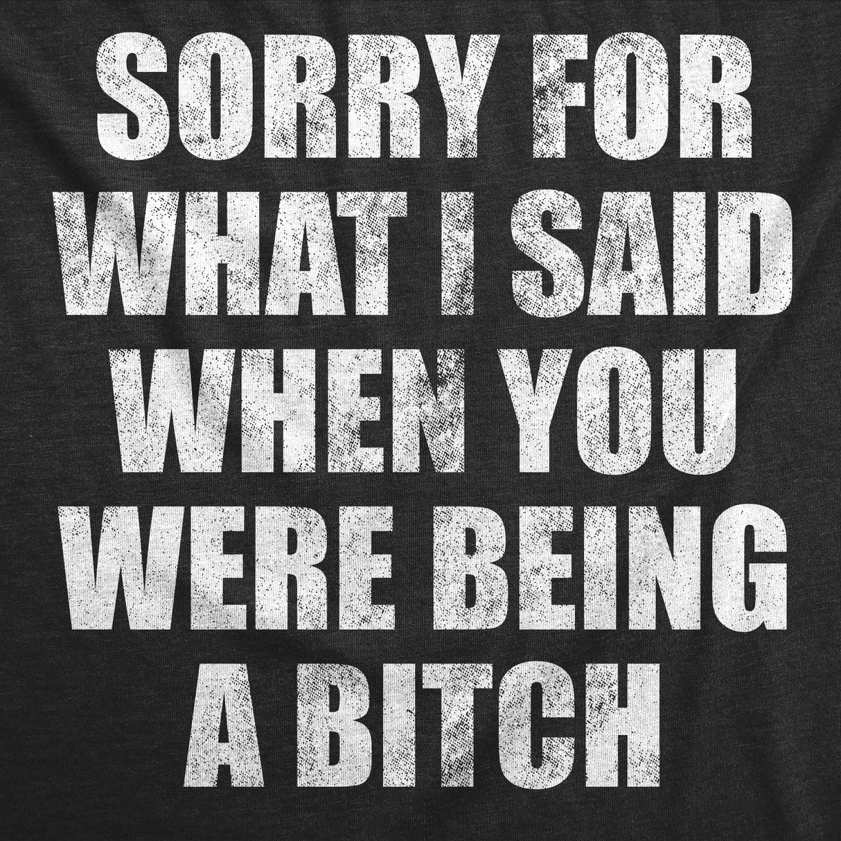Mens Funny T Shirts Sorry for What I Said When You Were A Bitch Sarcastic Graphic Novelty Tee for Men