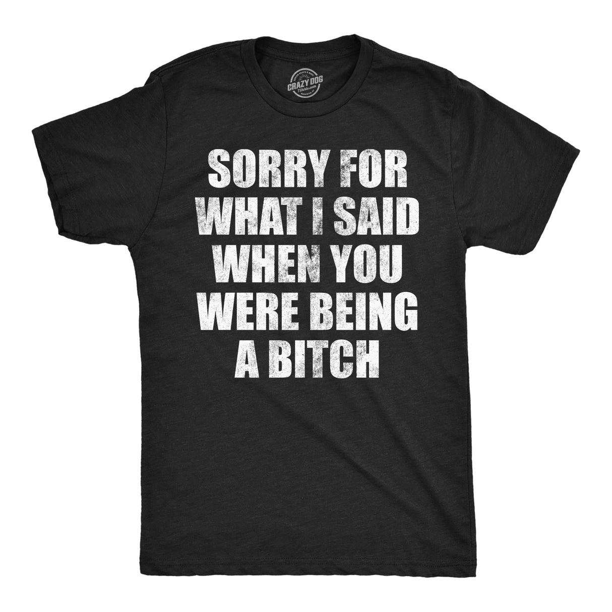 Mens Funny T Shirts Sorry for What I Said When You Were A Bitch Sarcastic Graphic Novelty Tee for Men