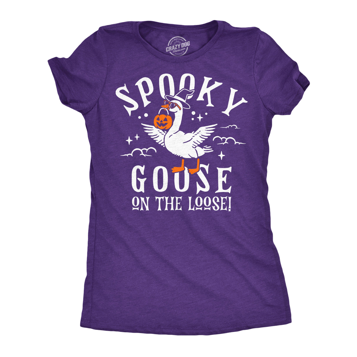 Womens Funny T Shirts Spooky Goose On The Loose Sarcastic Halloween Graphic Novelty Tee For Ladies