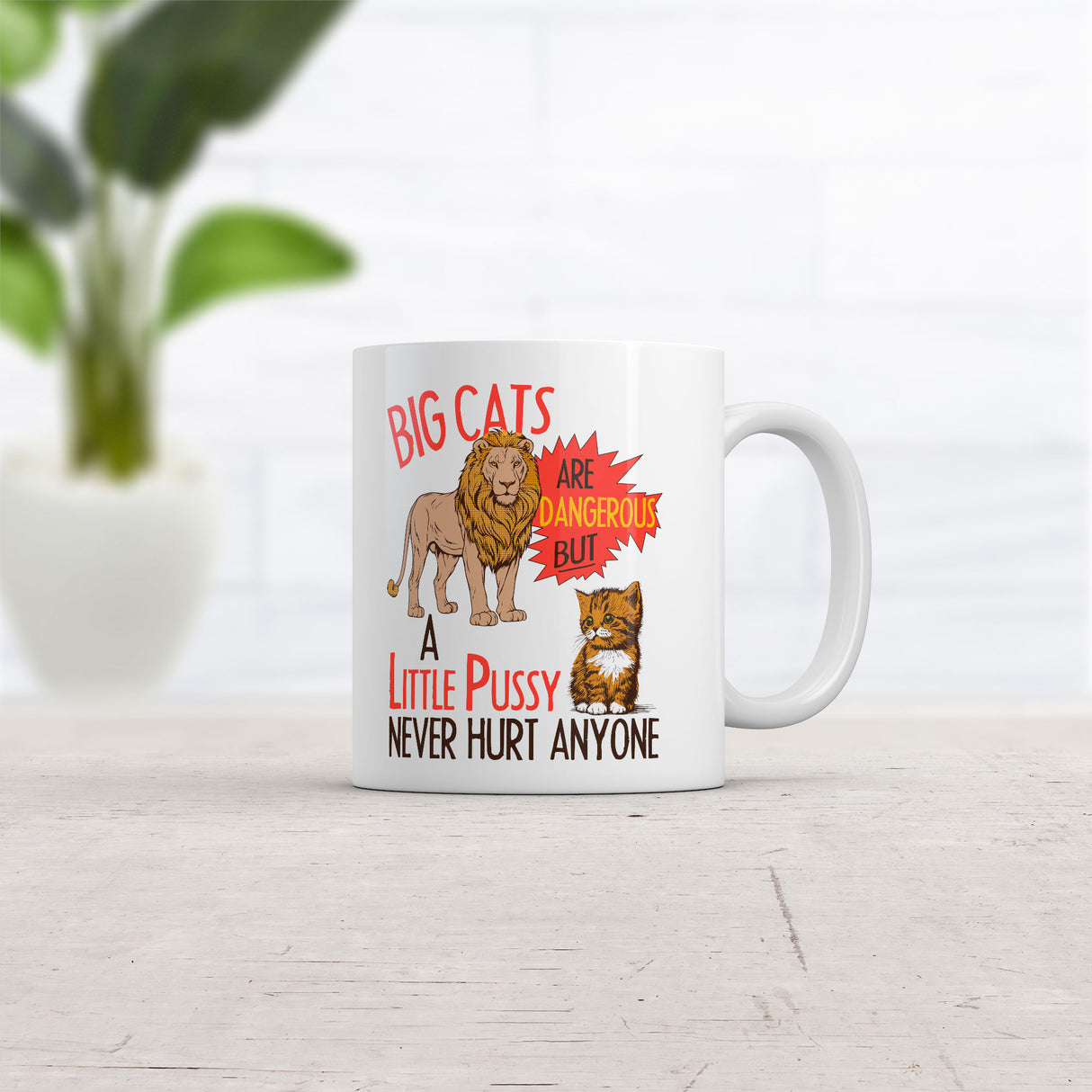 Big Cats Are Dangerous But A Little Pussy Never Hurt Anyone Mug Funny Sarcastic Novelty Coffee Cup-11oz