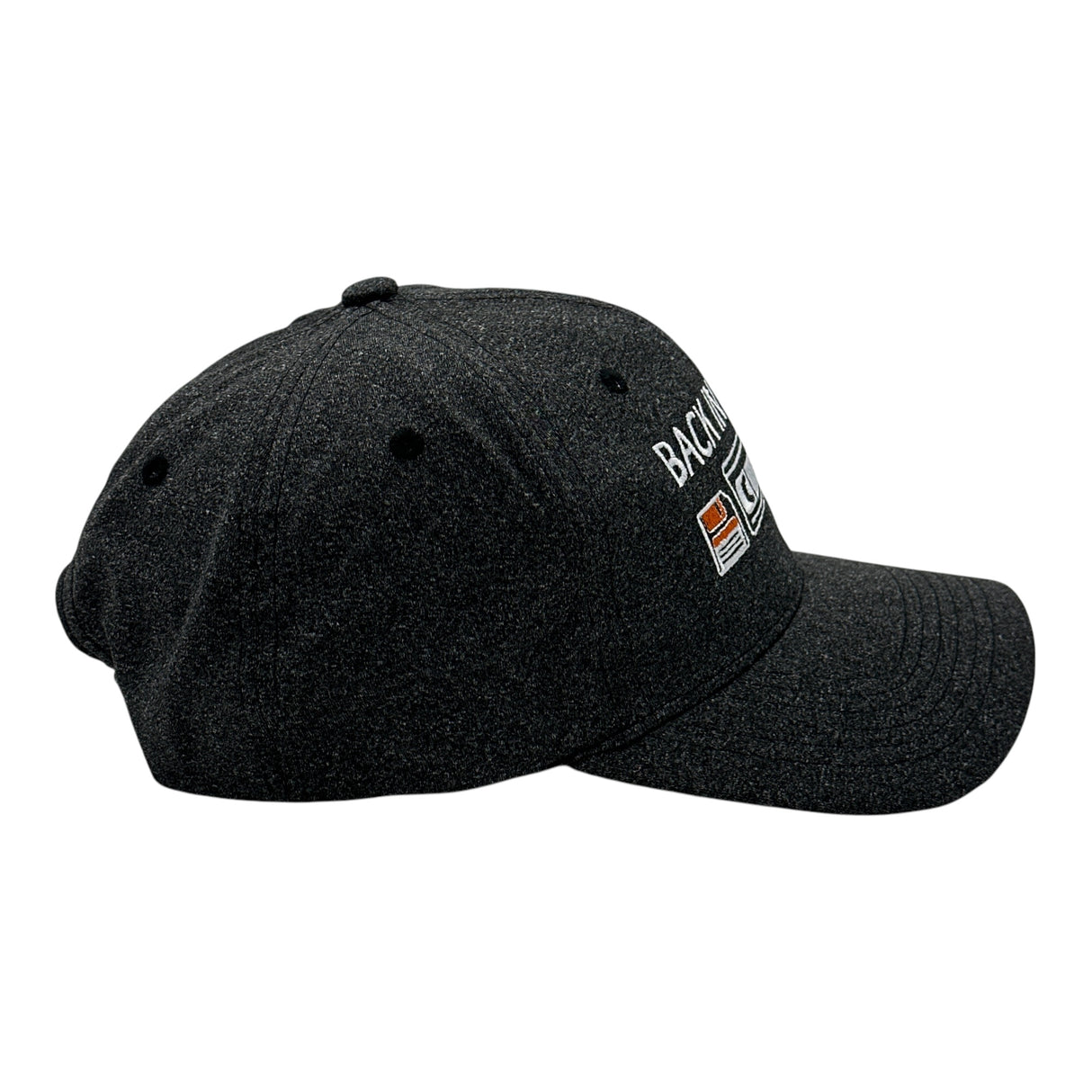 Back In My Day Hat Funny Sarcastic Retro Technology Graphic Novelty Cap