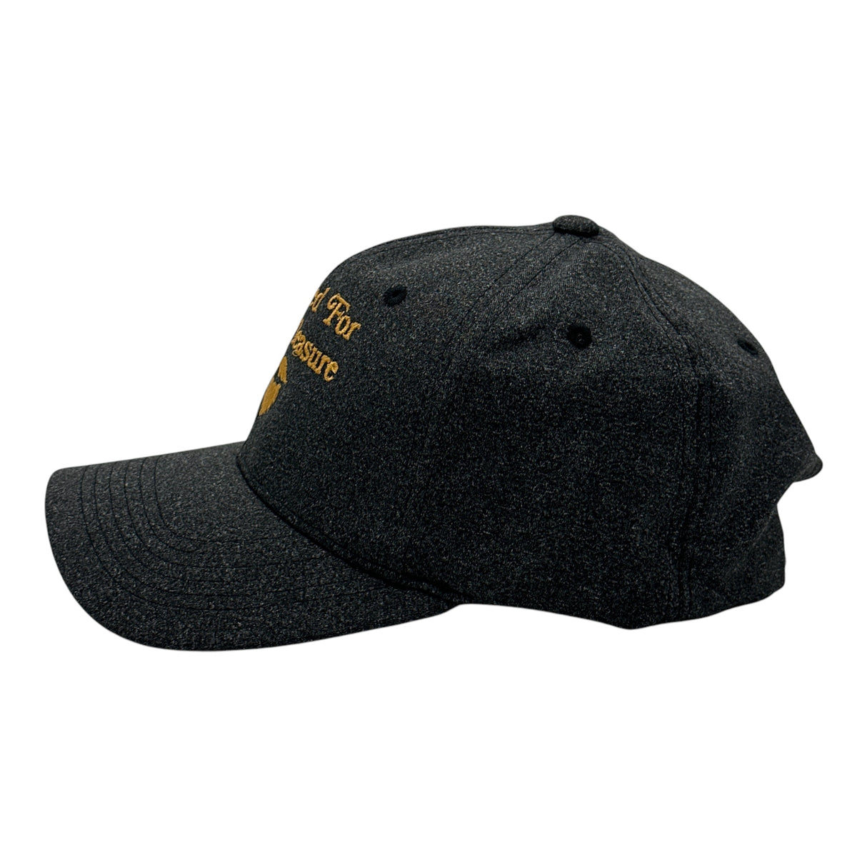 Bearded for Her Pleasure Hat Funny Sarcastic Graphic Novelty Cap