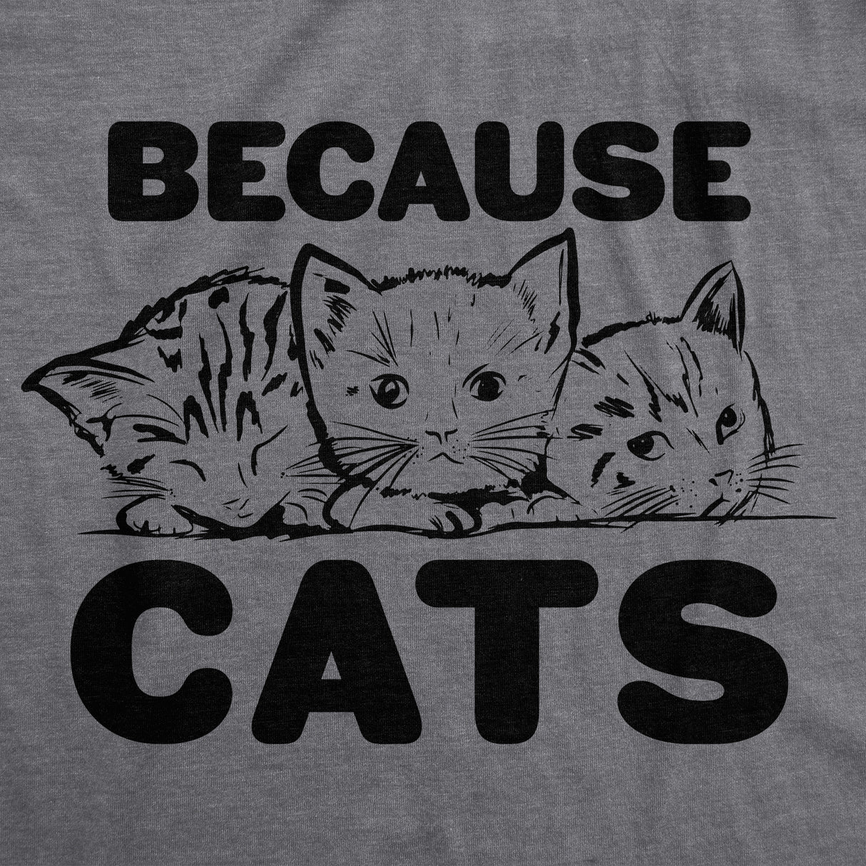 Because Cats Men's Tshirt