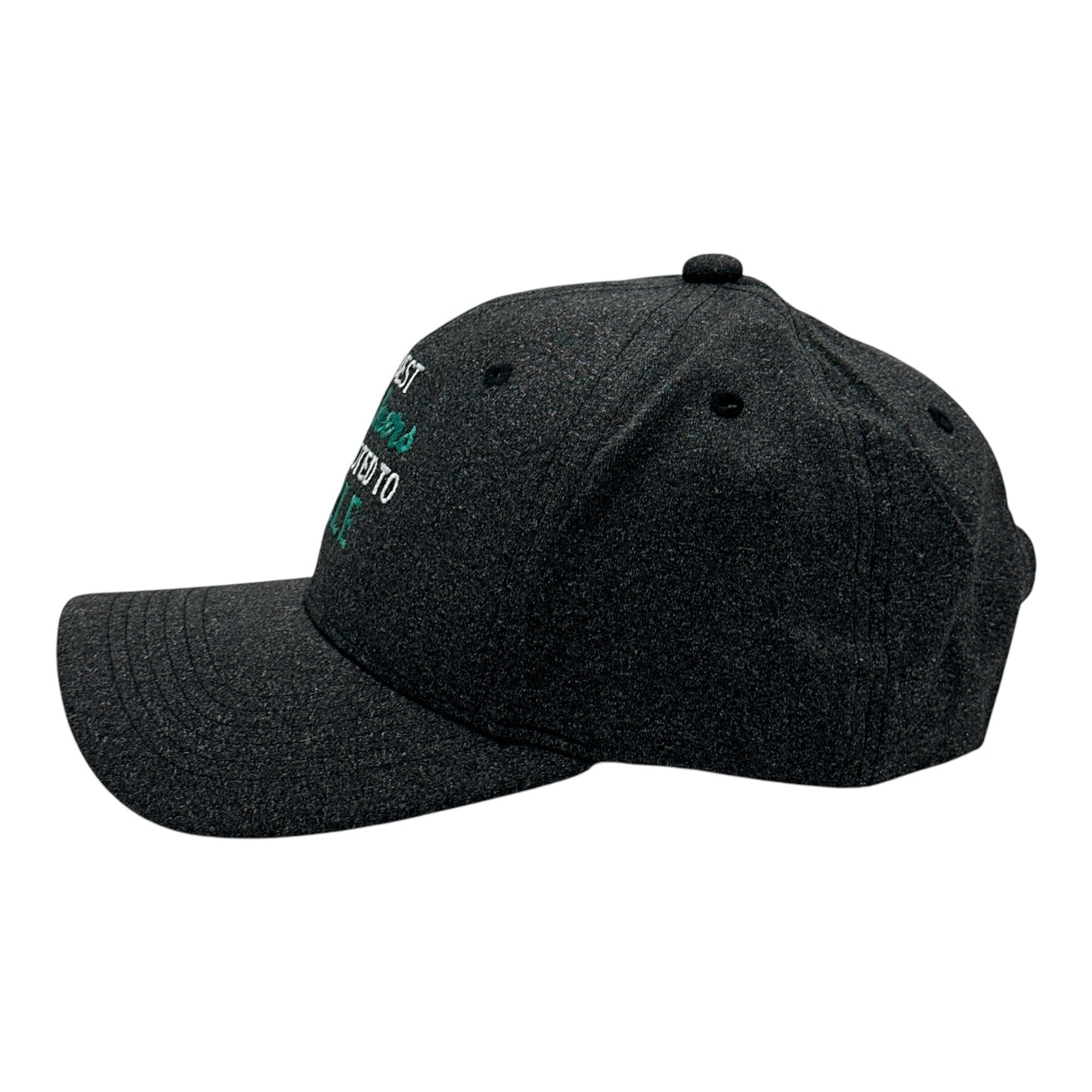 The Best Brothers Get Promoted to Uncle Hat Funny Family Graphic Novelty Cap