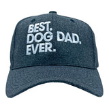 Best Dog Dad Ever Hat Funny Novelty Cap