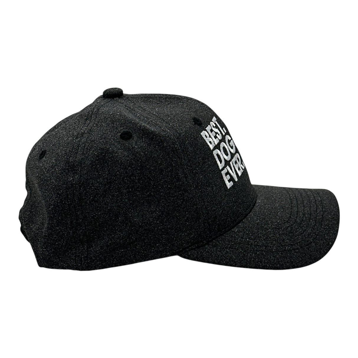 Best Dog Mom Ever Hat Funny Mothers Day Pet Puppy Animal Lover Cap