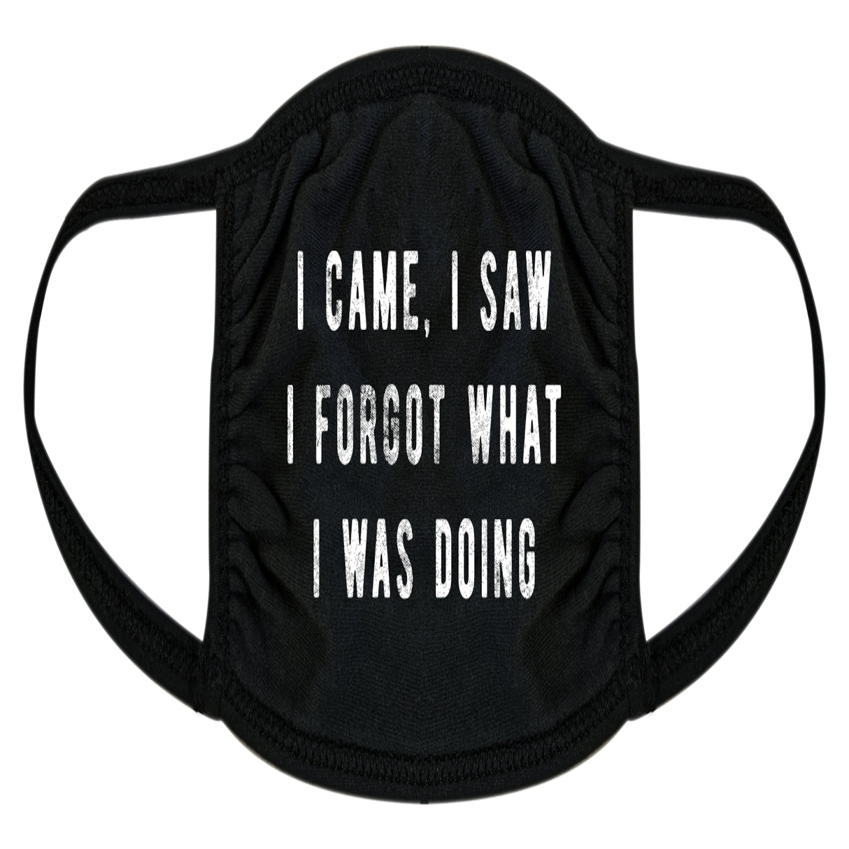 I Came I Saw I Forgot What I Was Doing Face Mask Funny Introvert Nose and Mouth Covering