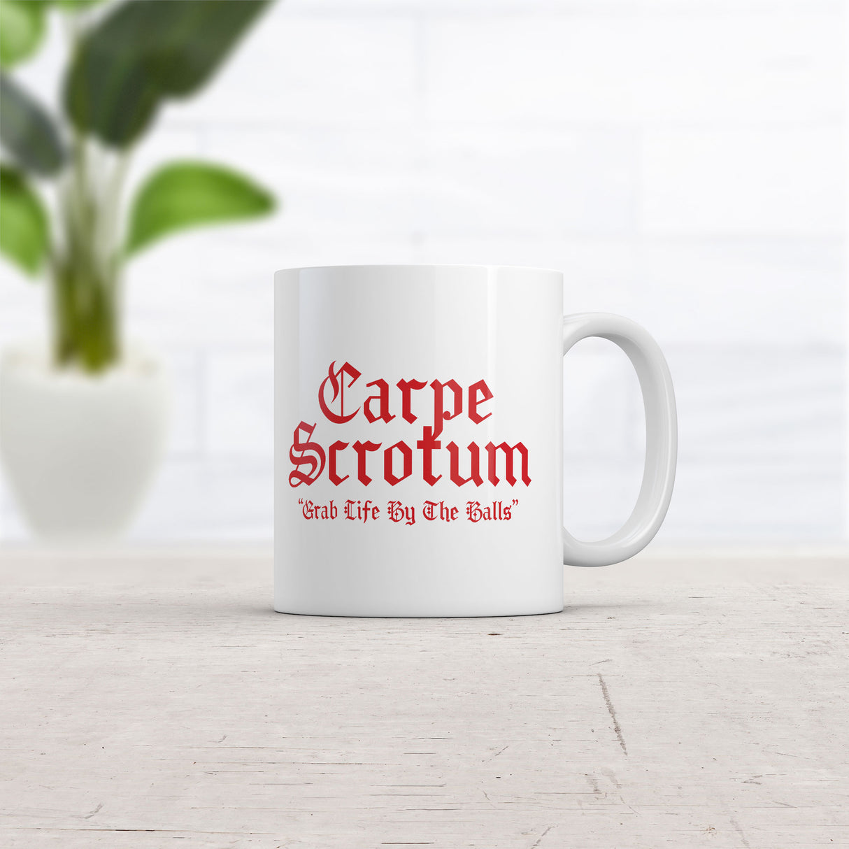 Carpe Scrotum Grab Life By The Balls Mug Funny Sarcastic Graphic Novelty Coffee Cup-11oz