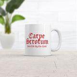 Carpe Scrotum Grab Life By The Balls Mug Funny Sarcastic Graphic Novelty Coffee Cup-11oz