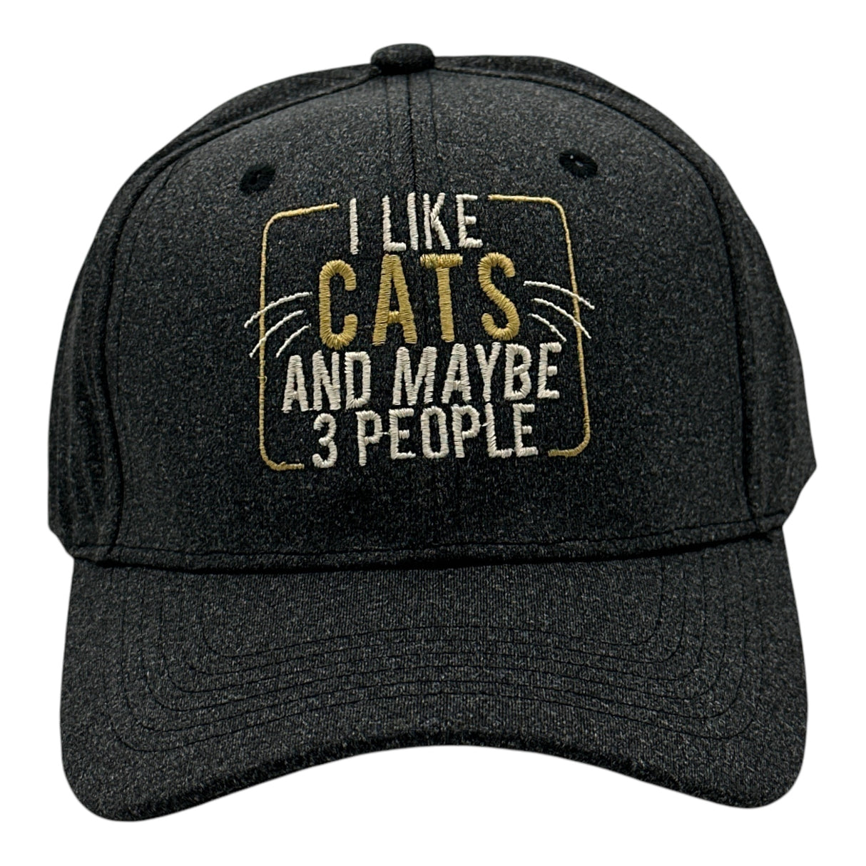 I Like Cats and Maybe 3 People Hat Funny Sarcastic Kitten Graphic Novelty Cap